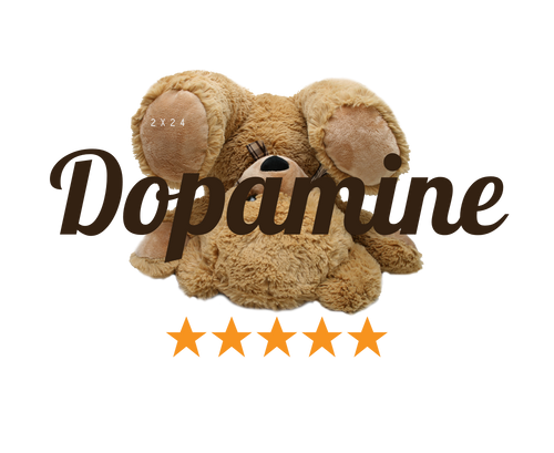 Cozy Dopamine